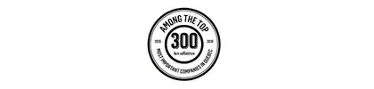 Logo_Amoung the Top 300 most important compagnis in quebec by Les Affaires
